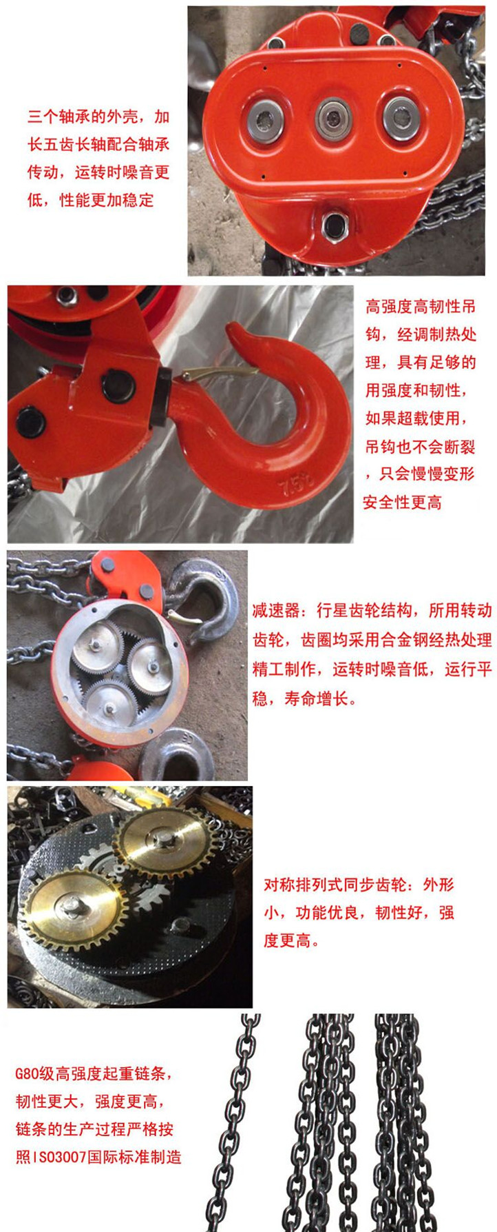 DHP型环链电动葫芦细节图